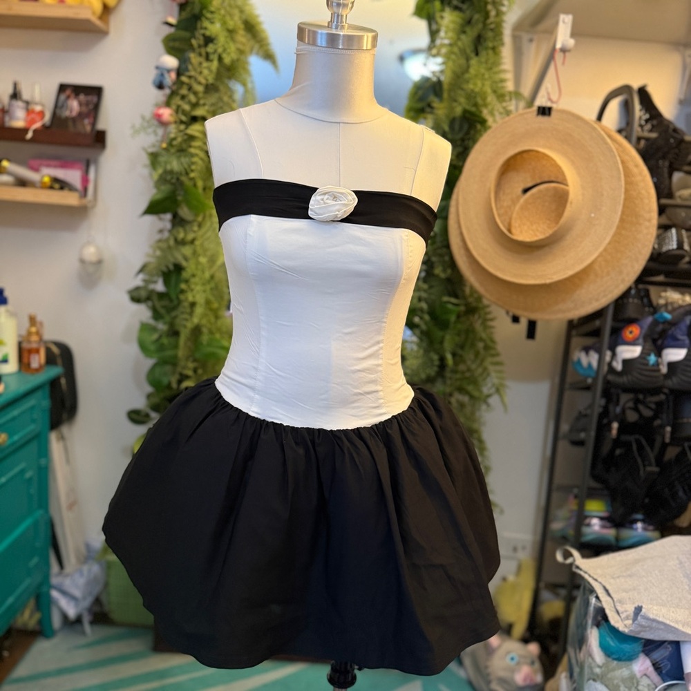 NWOT drop waist dress